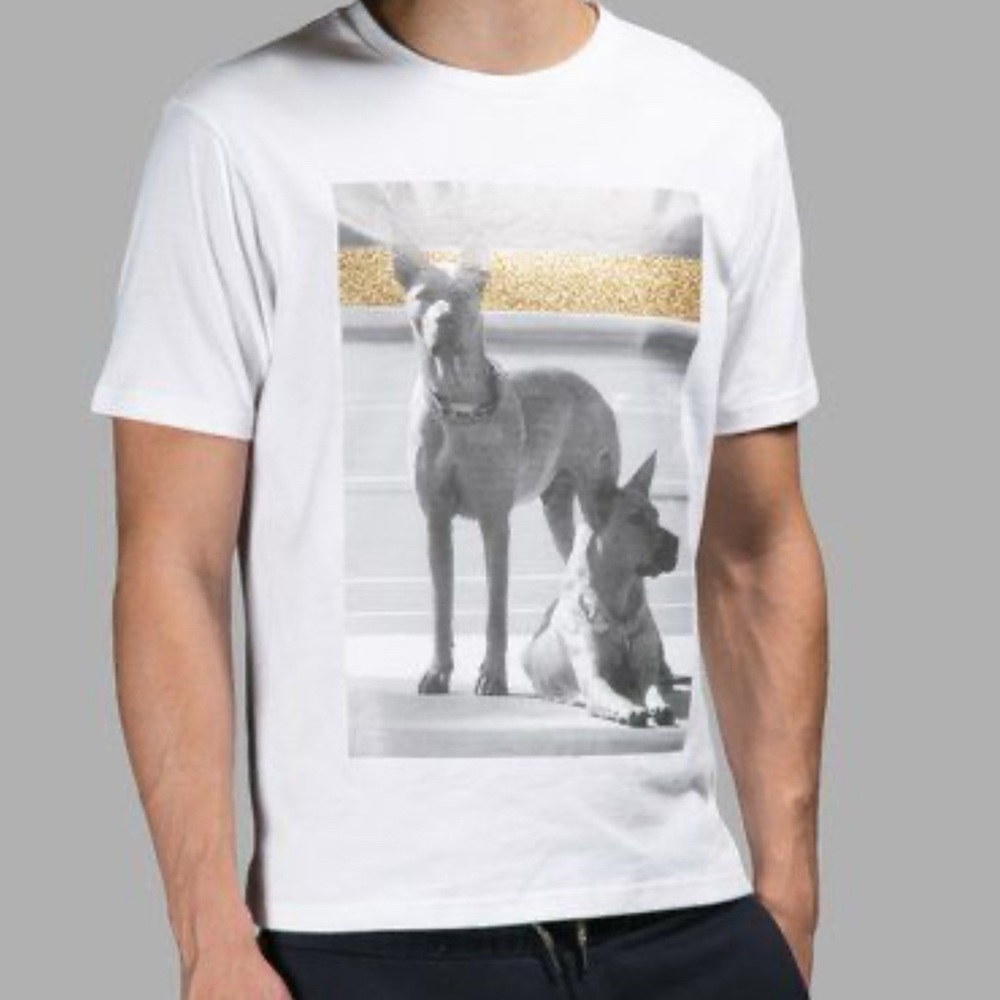Plam Angels Doberman Dog Graphic Gold Metallic Men’s Cotton T-Shirt Size M